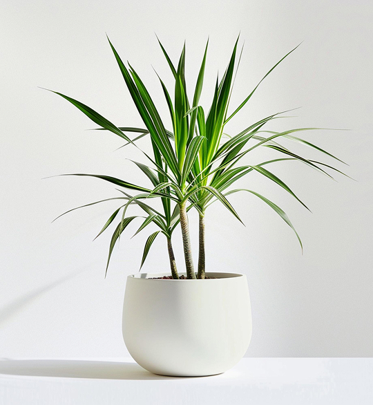 product-05 product 05